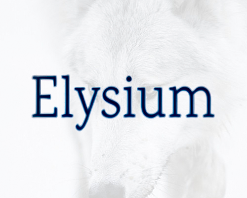 Elysium Market