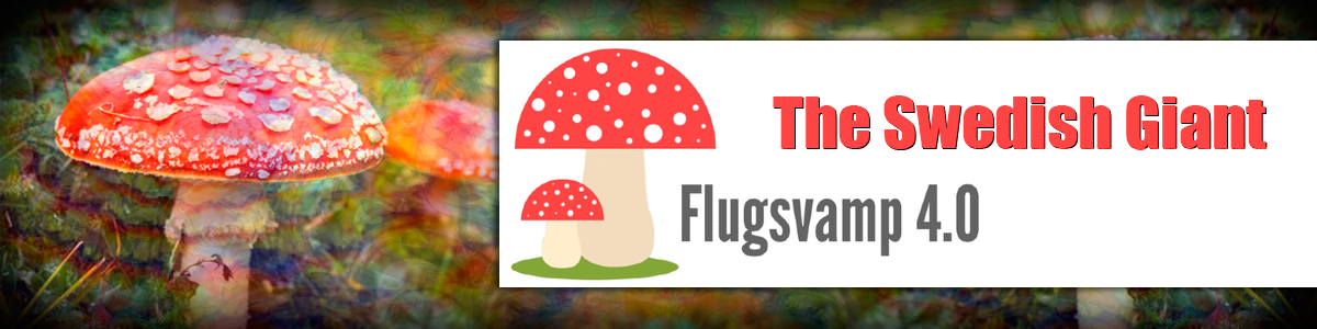 Flugsvamp 4.0